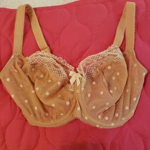CLEO BRA